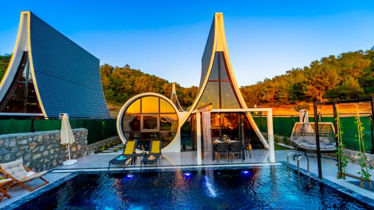 Villa New Vitus Wood